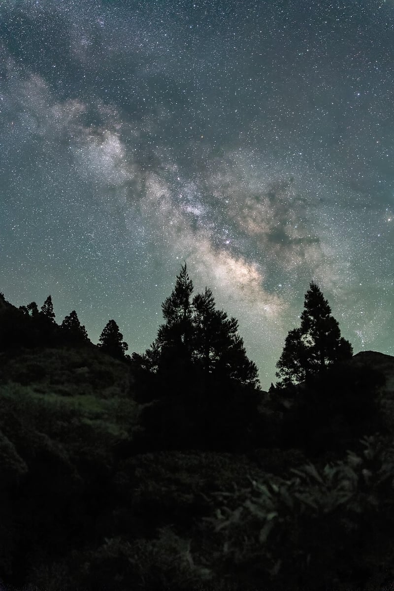Stars in the Night Sky